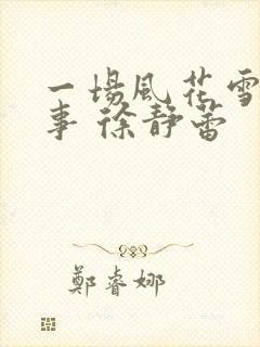 一场风花雪月的事 徐静蕾