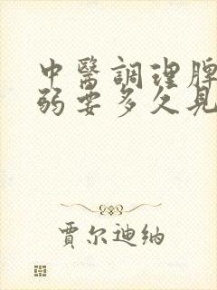 中医调理脾胃虚弱要多久见效