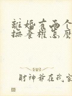 离婚有两个小孩抚养权怎么判定封面