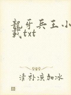 龙牙兵王小说下载txt