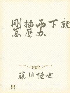 刚插两下就泄了怎么办封面