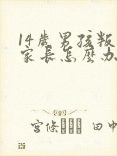 14岁男孩叛逆家长怎么办