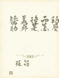 膝盖后面的腿弯筋疼是怎么回事