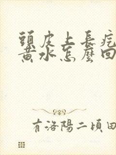 头皮上长疙瘩流黄水怎么回事