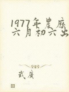 1977年农历六月初六出生的命运