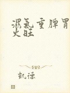 湿气重脾胃虚肝火旺