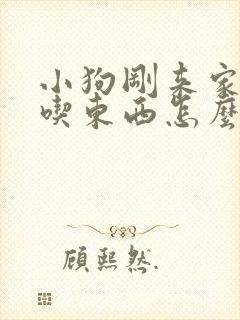 小狗刚来家里不吃东西怎么办