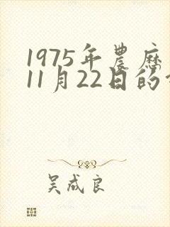 1975年农历11月22日的命运