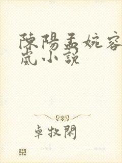 陈阳孟婉容江玉岚小说封面