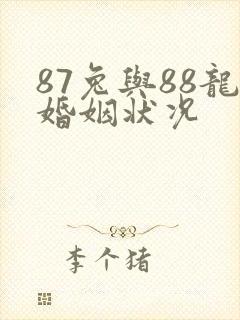 87兔与88龙婚姻状况封面