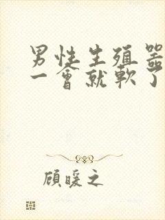 男性生殖器勃起一会就软了封面