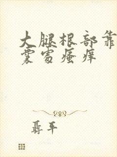 大腿根部靠近阴囊处瘙痒