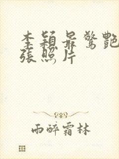 李颖最惊艳的三张照片封面