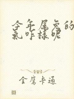 今年属兔的人运气咋样呢