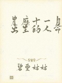 农历十一月十三出生的人命运如何