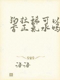 狗拉稀可以吃藿香正气水吗