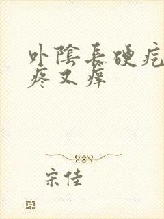 外阴长硬疙瘩又疼又痒