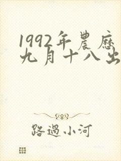 1992年农历九月十八出生的女孩命运