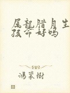 属龙腊月生的男孩命好吗封面