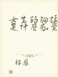 女生的胸揉起来是什么感觉