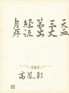 月经第三天肚子疼流出大血块是怎么回事