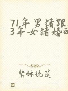 71年男猪跟83年女猪婚配封面