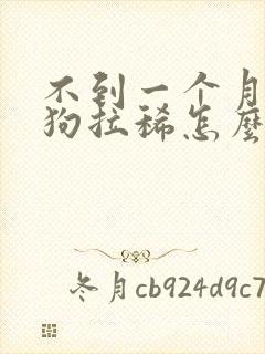 不到一个月的小狗拉稀怎么办