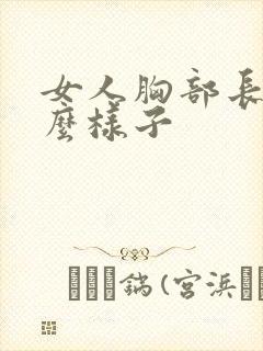 女人胸部长得什么样子封面