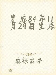 农历84年11月29日生辰八字