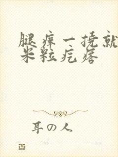 腿痒一挠就起小米粒疙瘩封面