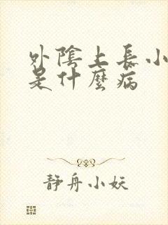 外阴上长小疙瘩是什么病