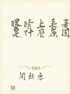 眼睛上长麦粒肿是什么原因