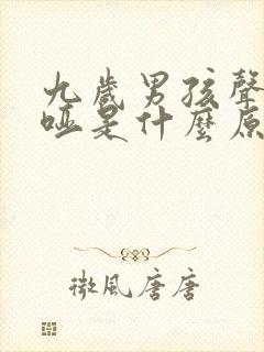 九岁男孩声音嘶哑是什么原因