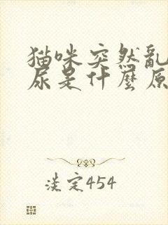 猫咪突然乱拉乱尿是什么原因封面