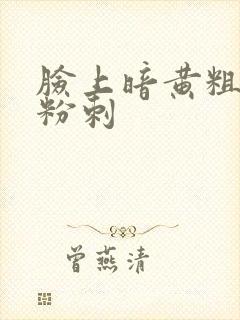 脸上暗黄粗糙长粉刺