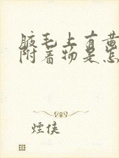 腋毛上有黄黄的附着物是怎么回事