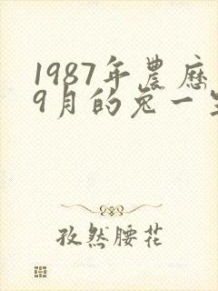 1987年农历9月的兔一生命运