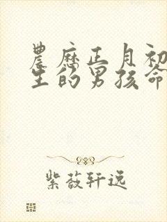 农历正月初三出生的男孩命运封面