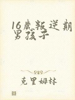 16岁叛逆期的男孩子