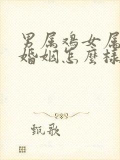 男属鸡女属龙的婚姻怎么样