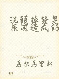 洗头掉发是什么原因造成的