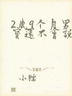 2岁9个月男宝宝还不会说话