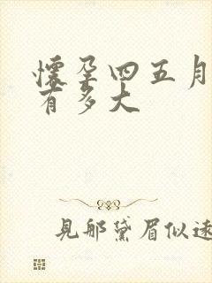 怀孕四五月肚子有多大