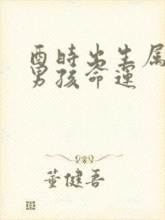 酉时出生属马的男孩命运