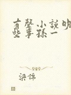 有声小说明朝那些事孙一