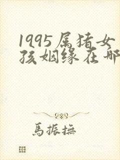1995属猪女孩姻缘在哪一年