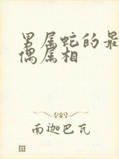 男属蛇的最佳配偶属相