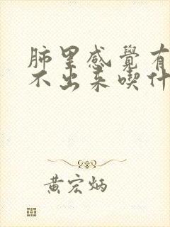 肺里感觉有痰咳不出来吃什么药封面