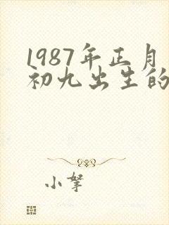 1987年正月初九出生的男孩命运