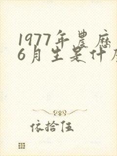 1977年农历6月生是什么命